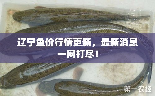 蹉跎岁月 第2页
