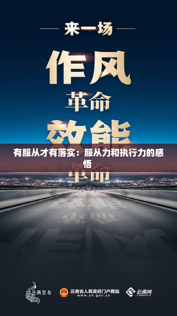 有服从才有落实：服从力和执行力的感悟 
