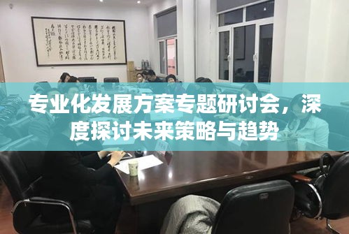 专业化发展方案专题研讨会，深度探讨未来策略与趋势