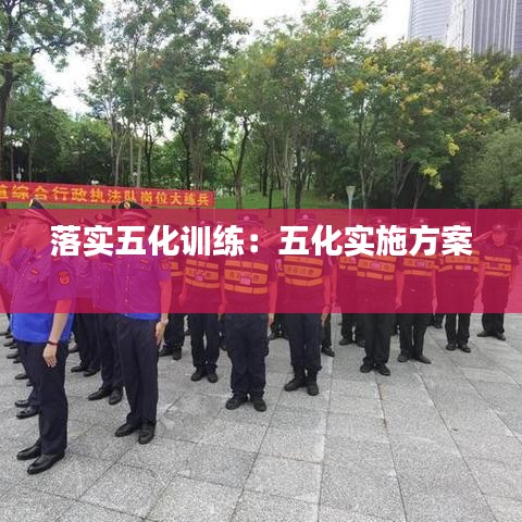 落实五化训练：五化实施方案 