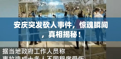 安庆突发砍人事件，惊魂瞬间，真相揭秘！