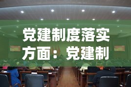 党建制度落实方面：党建制度落实情况汇报 