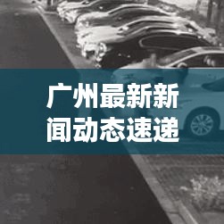 广州最新新闻动态速递