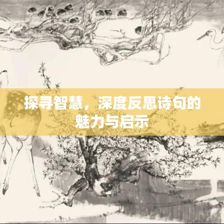 探寻智慧，深度反思诗句的魅力与启示