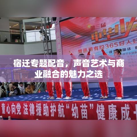 宿迁专题配音，声音艺术与商业融合的魅力之选