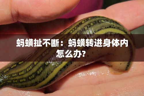 一石三鸟 第2页