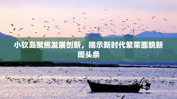 小钦岛聚焦发展创新，揭示新时代繁荣面貌新闻头条
