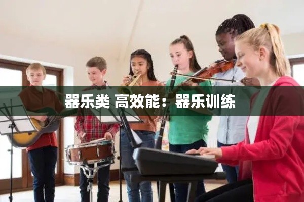 器乐类 高效能：器乐训练 
