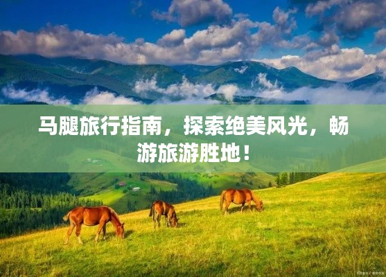 马腿旅行指南，探索绝美风光，畅游旅游胜地！