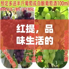 红提，品味生活的甘甜，醉美葡萄的诱惑