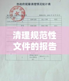 清理规范性文件的报告：清理规范性文件的作用 