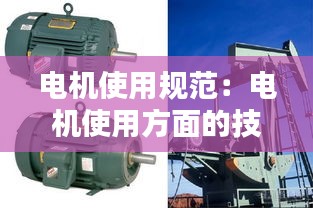 电机使用规范：电机使用方面的技术标准 