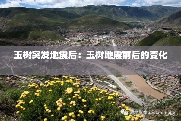 玉树突发地震后：玉树地震前后的变化 