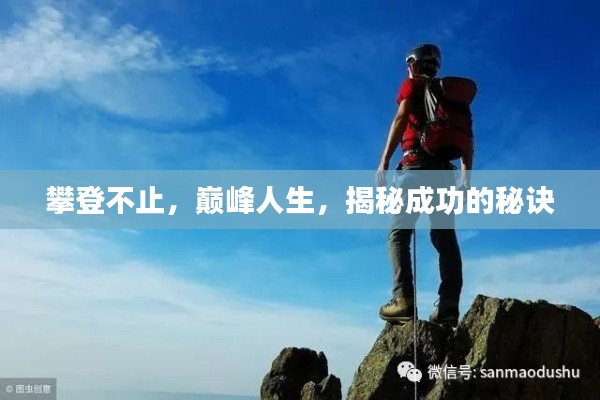 攀登不止，巅峰人生，揭秘成功的秘诀