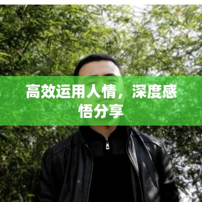 高效运用人情，深度感悟分享