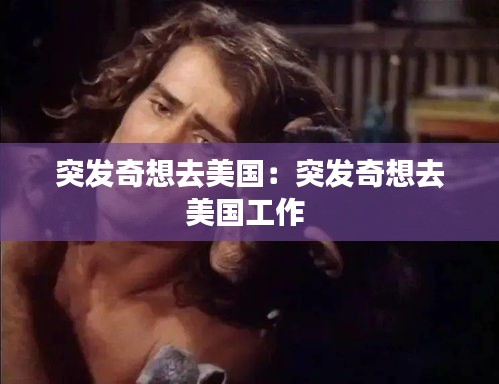 突发奇想去美国：突发奇想去美国工作 