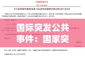 国际突发公共事件：国家突发公共事件分级标准 