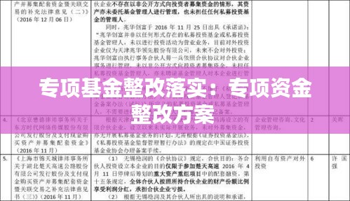 专项基金整改落实：专项资金整改方案 