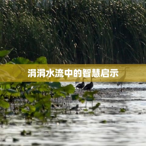 废寝忘食 第2页