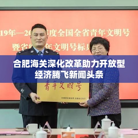 合肥海关深化改革助力开放型经济腾飞新闻头条