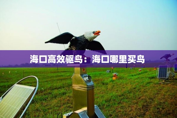 海口高效驱鸟：海口哪里买鸟 