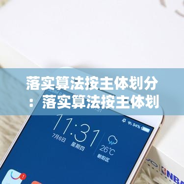 落实算法按主体划分：落实算法按主体划分分为 