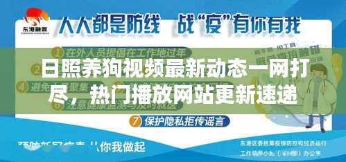日照养狗视频最新动态一网打尽，热门播放网站更新速递