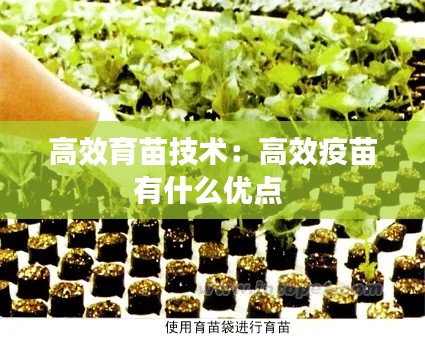高效育苗技术：高效疫苗有什么优点 