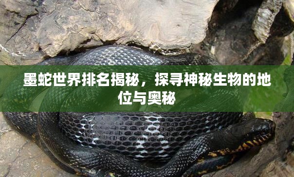 墨蛇世界排名揭秘，探寻神秘生物的地位与奥秘