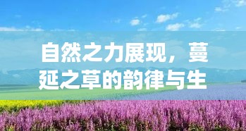 自然之力展现，蔓延之草的韵律与生命之美