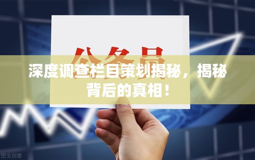 深度调查栏目策划揭秘，揭秘背后的真相！
