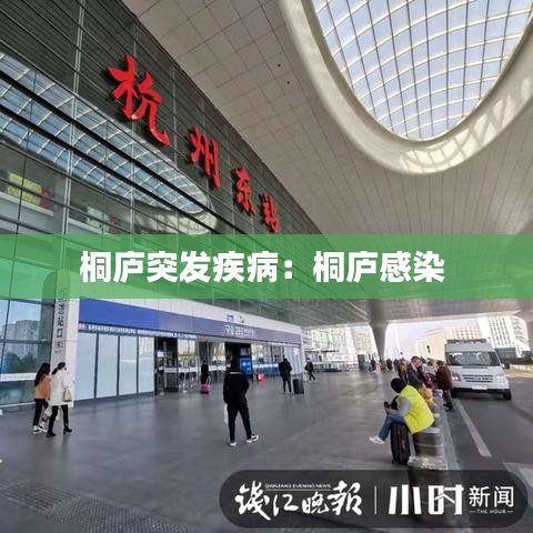 桐庐突发疾病：桐庐感染 
