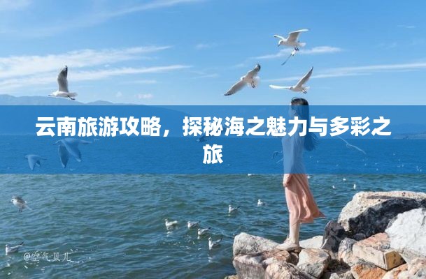云南旅游攻略，探秘海之魅力与多彩之旅