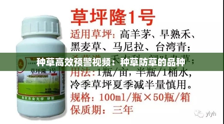 种草高效预警视频：种草防草的品种 