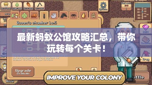最新蚂蚁公馆攻略汇总，带你玩转每个关卡！
