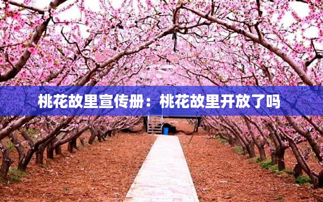 桃花故里宣传册：桃花故里开放了吗 