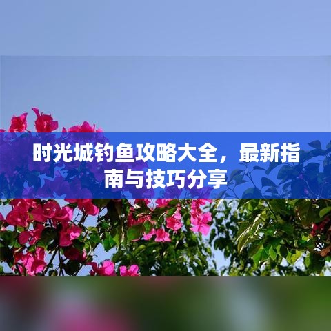 时光城钓鱼攻略大全，最新指南与技巧分享