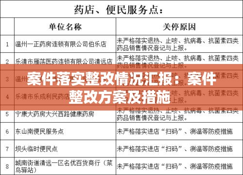 案件落实整改情况汇报：案件整改方案及措施 