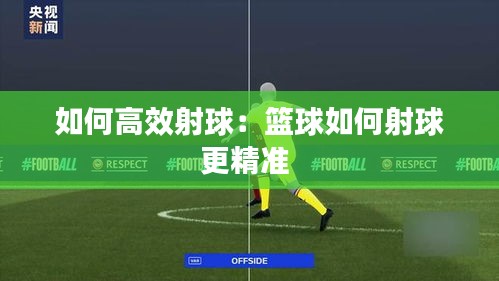 展翅高飞 第2页