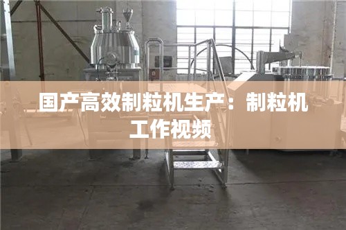 国产高效制粒机生产：制粒机工作视频 