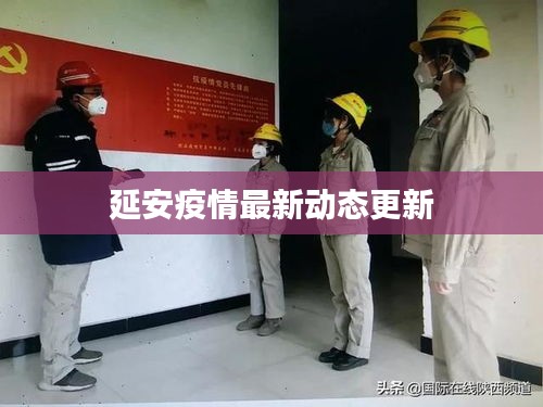 延安疫情最新动态更新