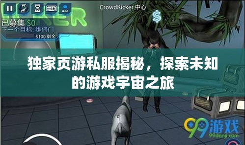 独家页游私服揭秘，探索未知的游戏宇宙之旅