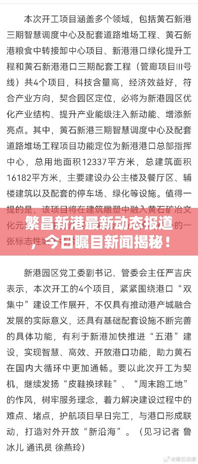 繁昌新港最新动态报道，今日瞩目新闻揭秘！
