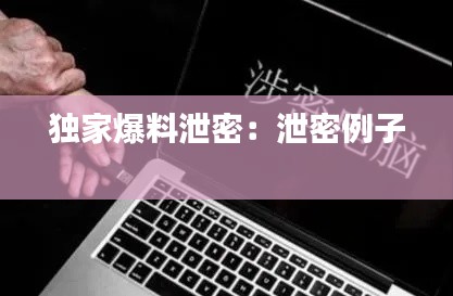 独家爆料泄密：泄密例子 