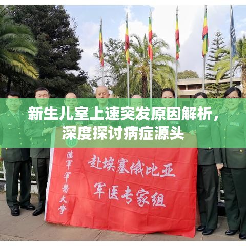 新生儿室上速突发原因解析，深度探讨病症源头