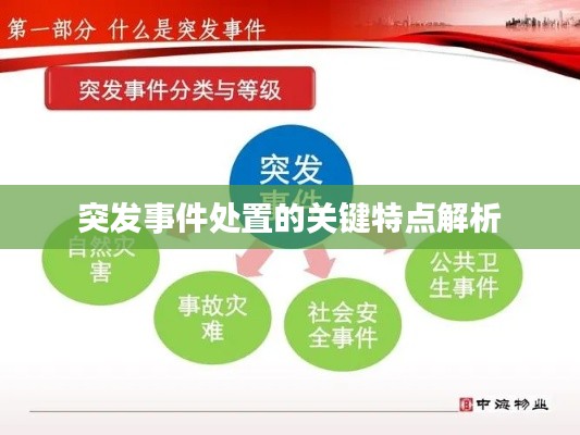 突发事件处置的关键特点解析