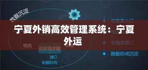 宁夏外销高效管理系统：宁夏外运 