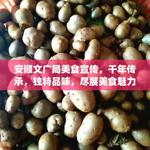 安顺文广局美食宣传，千年传承，独特品味，尽展美食魅力
