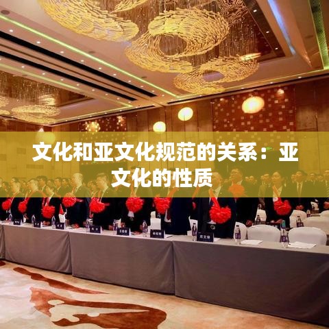 文化和亚文化规范的关系：亚文化的性质 