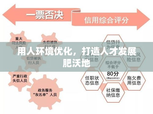 用人环境优化，打造人才发展肥沃地